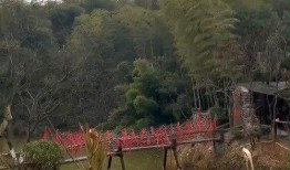 花溪新闻爆料最新,揭秘当地最新热点事件